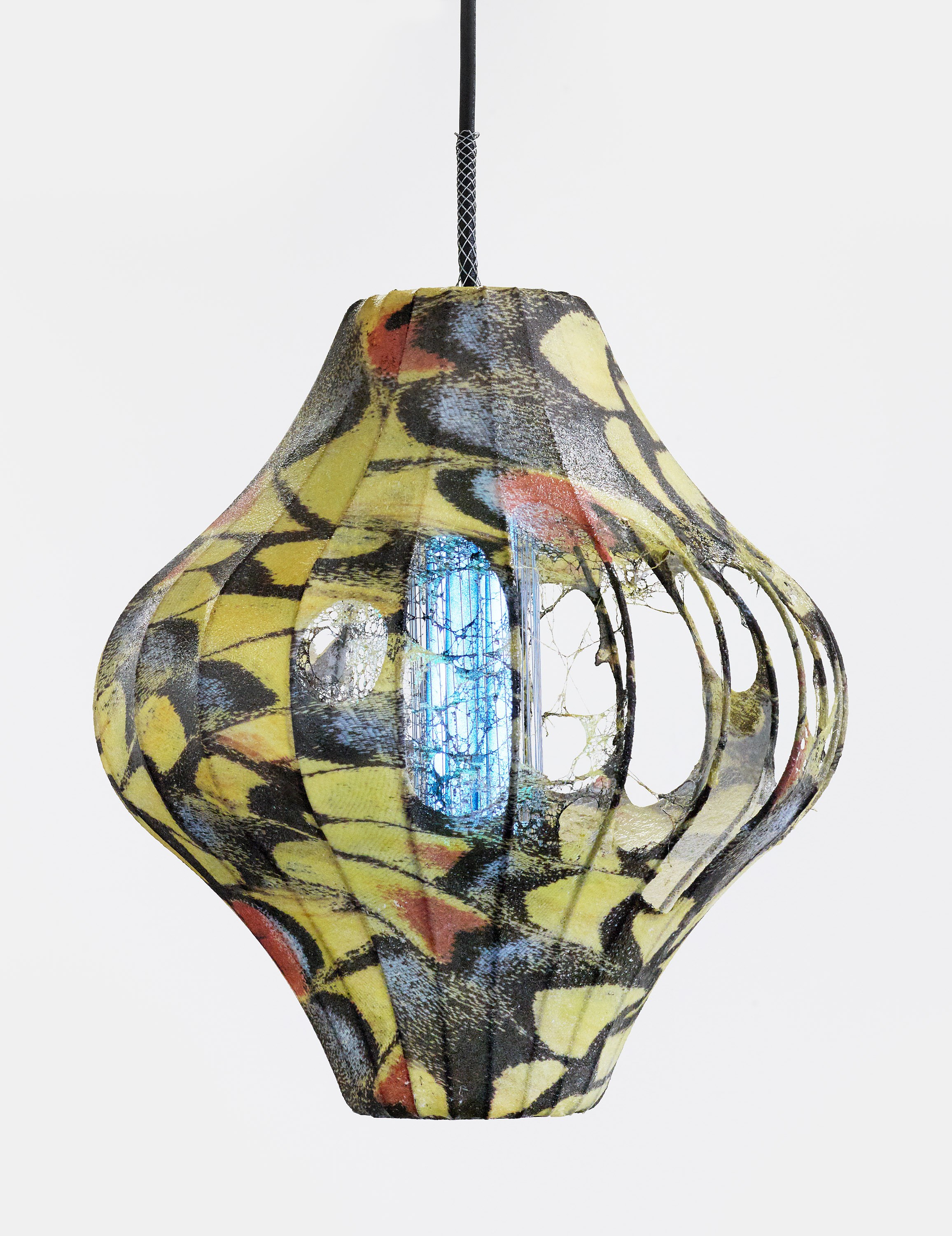 Cooper Jacoby, Bait at Freedman Fitzpatrick, photo 22