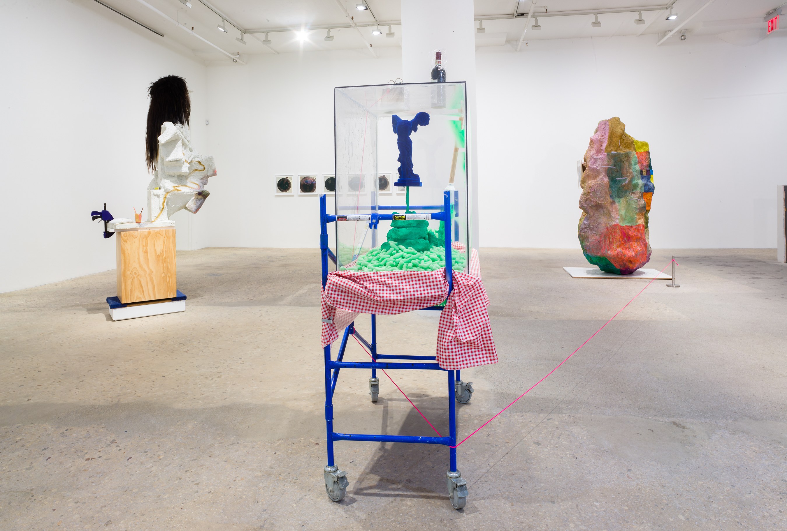 Rachel Harrison, Prasine at Greene Naftali, photo 4