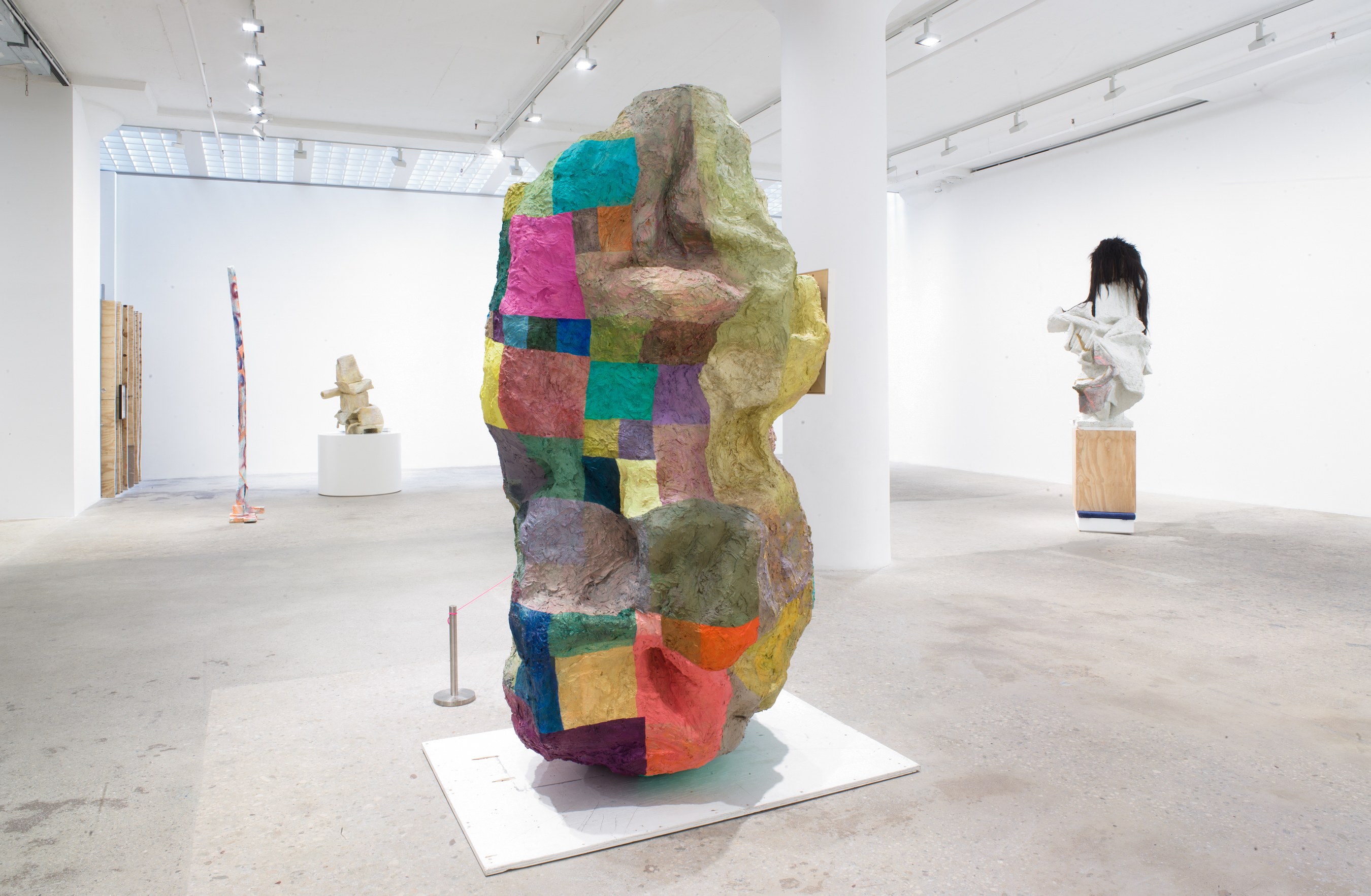 Rachel Harrison, Prasine at Greene Naftali, photo 7