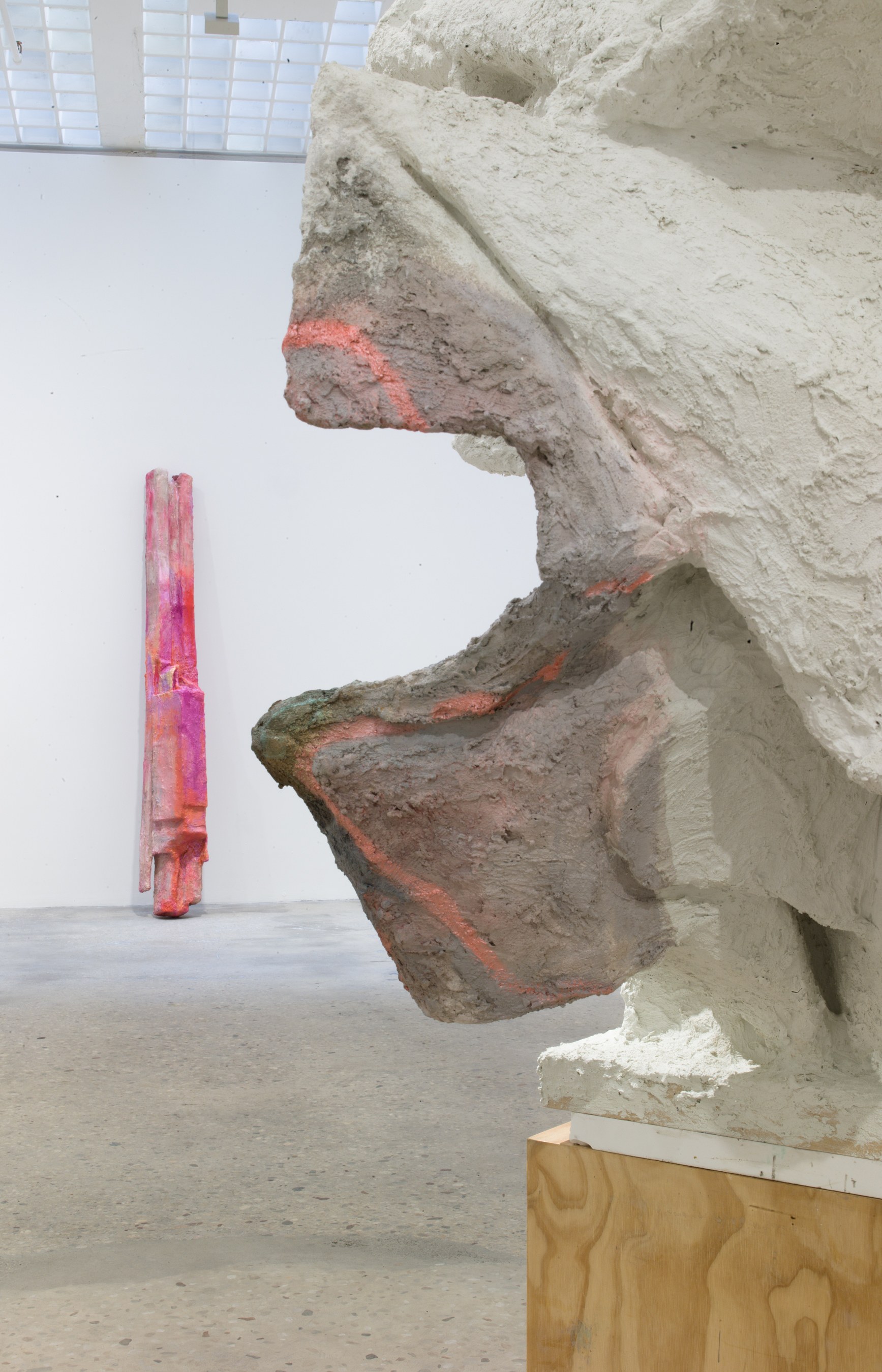 Rachel Harrison, Prasine at Greene Naftali, photo 12