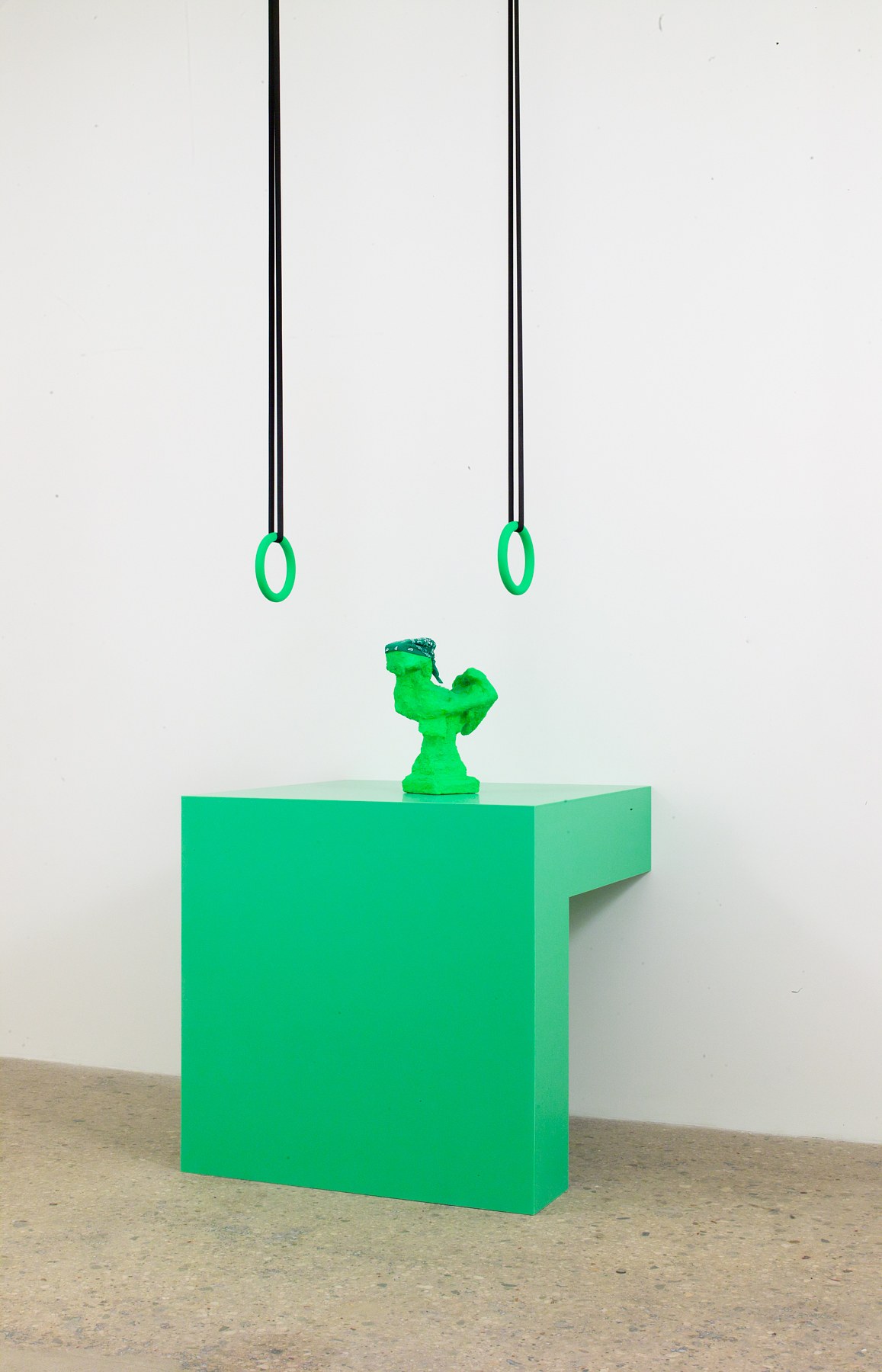 Rachel Harrison, Prasine at Greene Naftali, photo 16