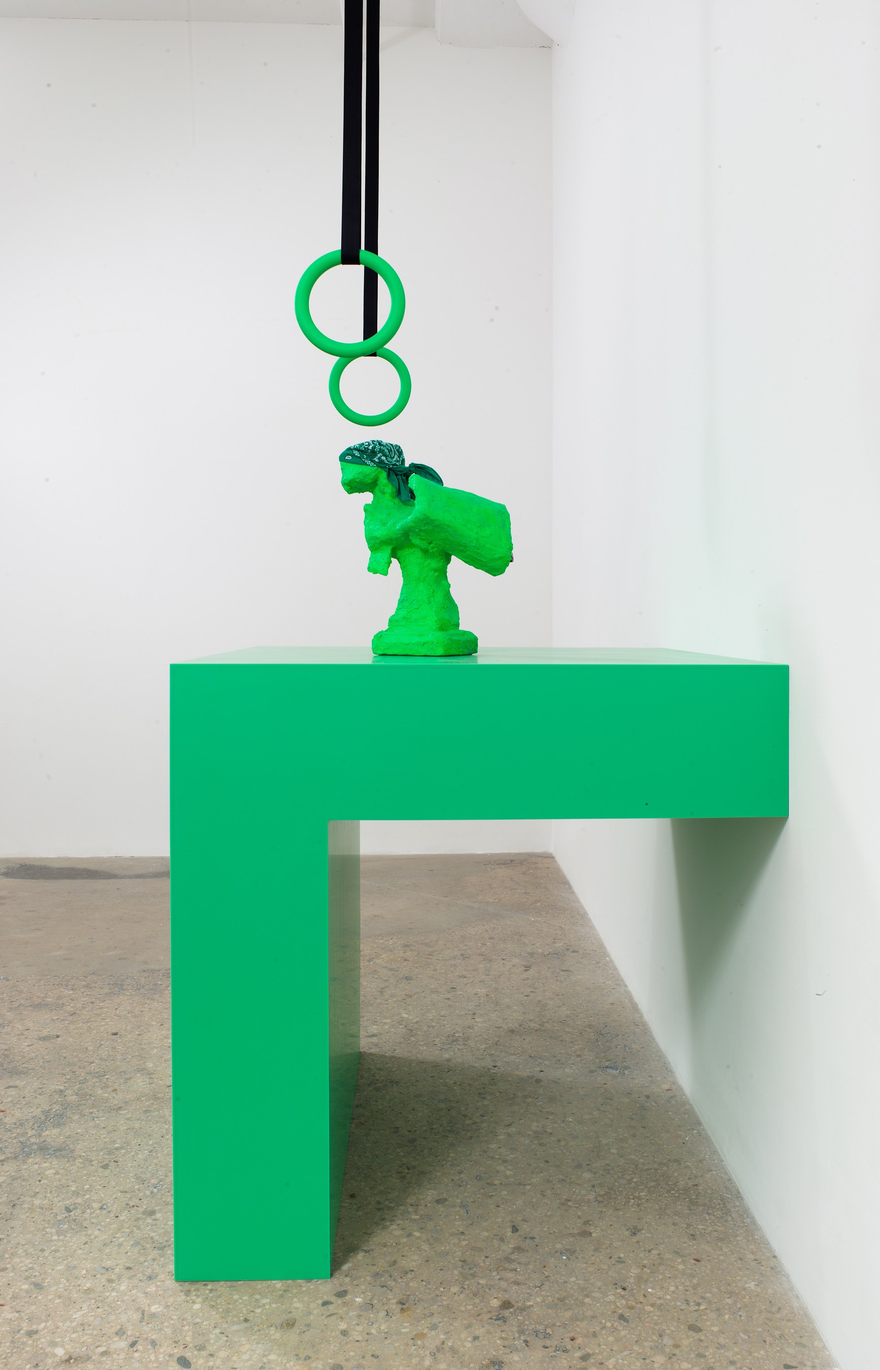 Rachel Harrison, Prasine at Greene Naftali, photo 17
