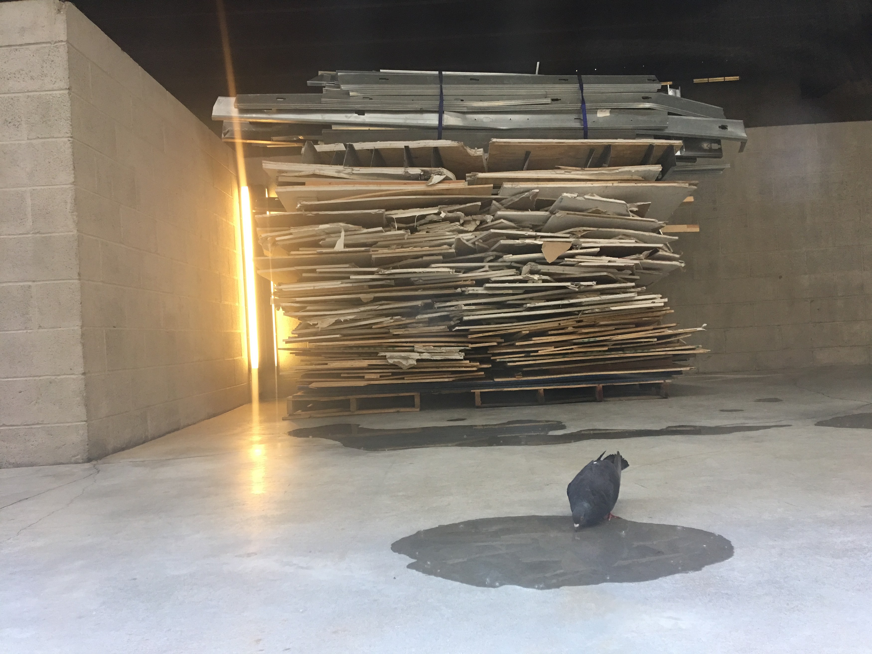 Rachel Harrison, Prasine at Greene Naftali, photo 19