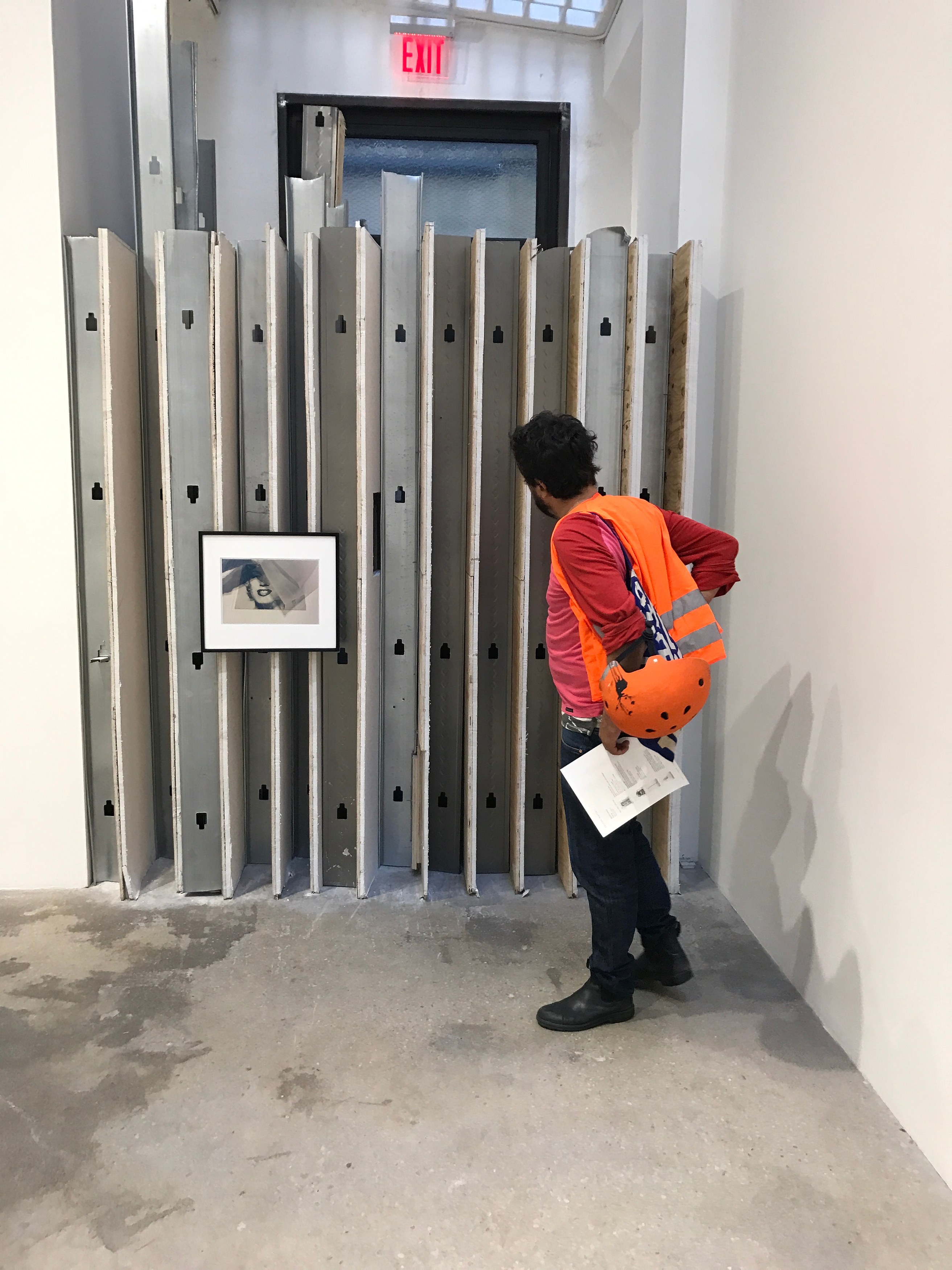 Rachel Harrison, Prasine at Greene Naftali, photo 21