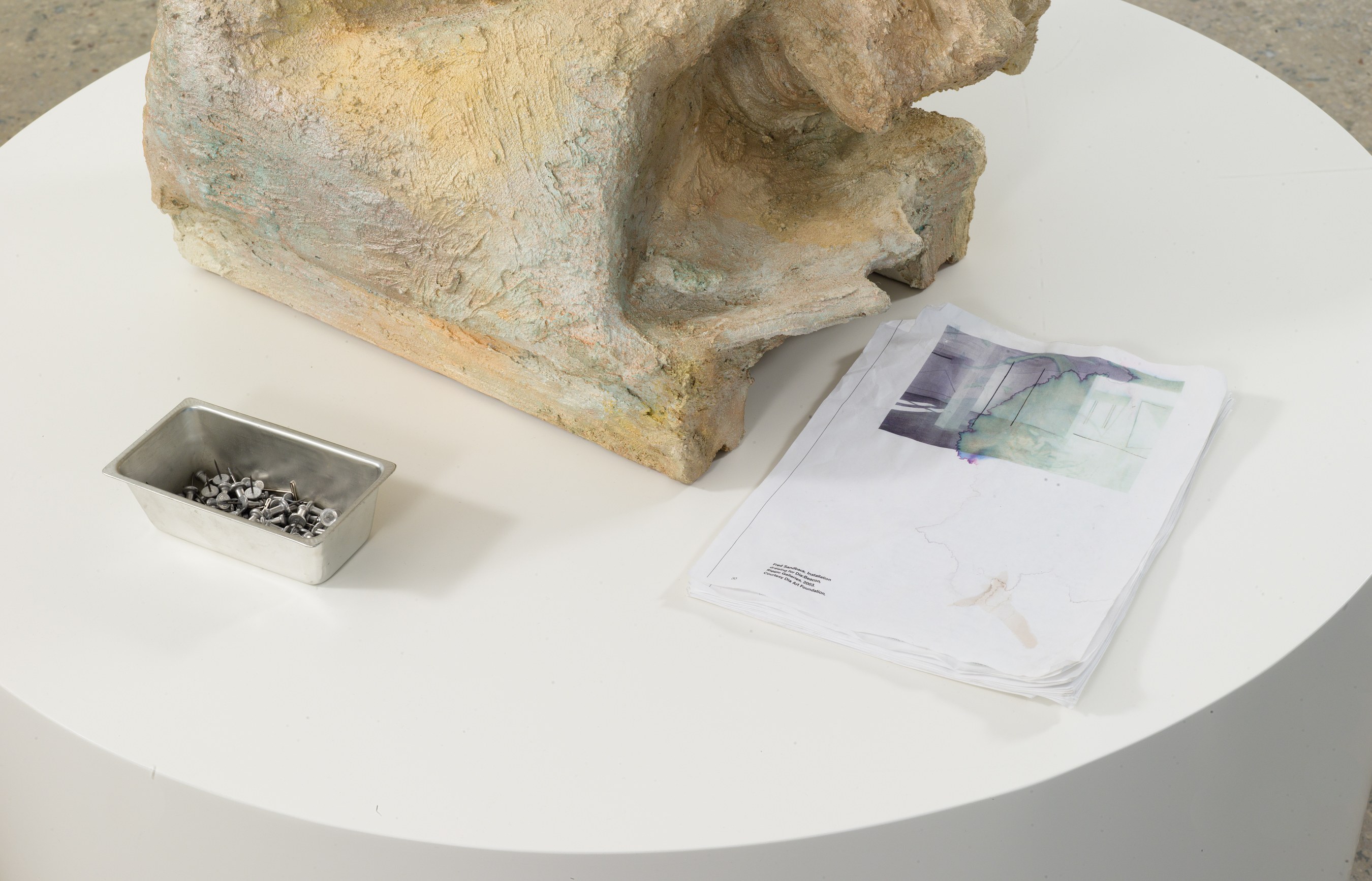 Rachel Harrison, Prasine at Greene Naftali, photo 23