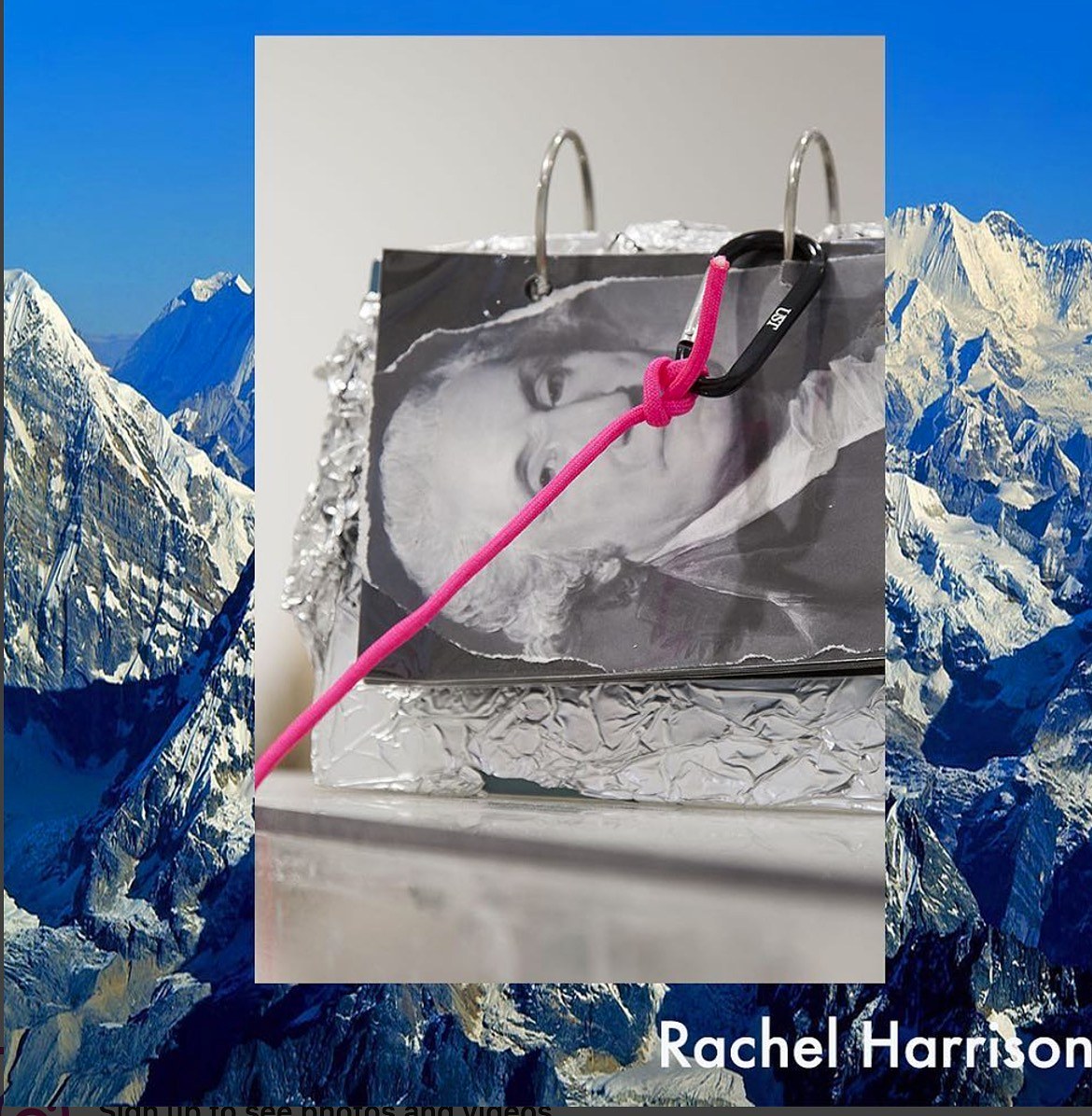 Rachel Harrison, Prasine at Greene Naftali, photo 25