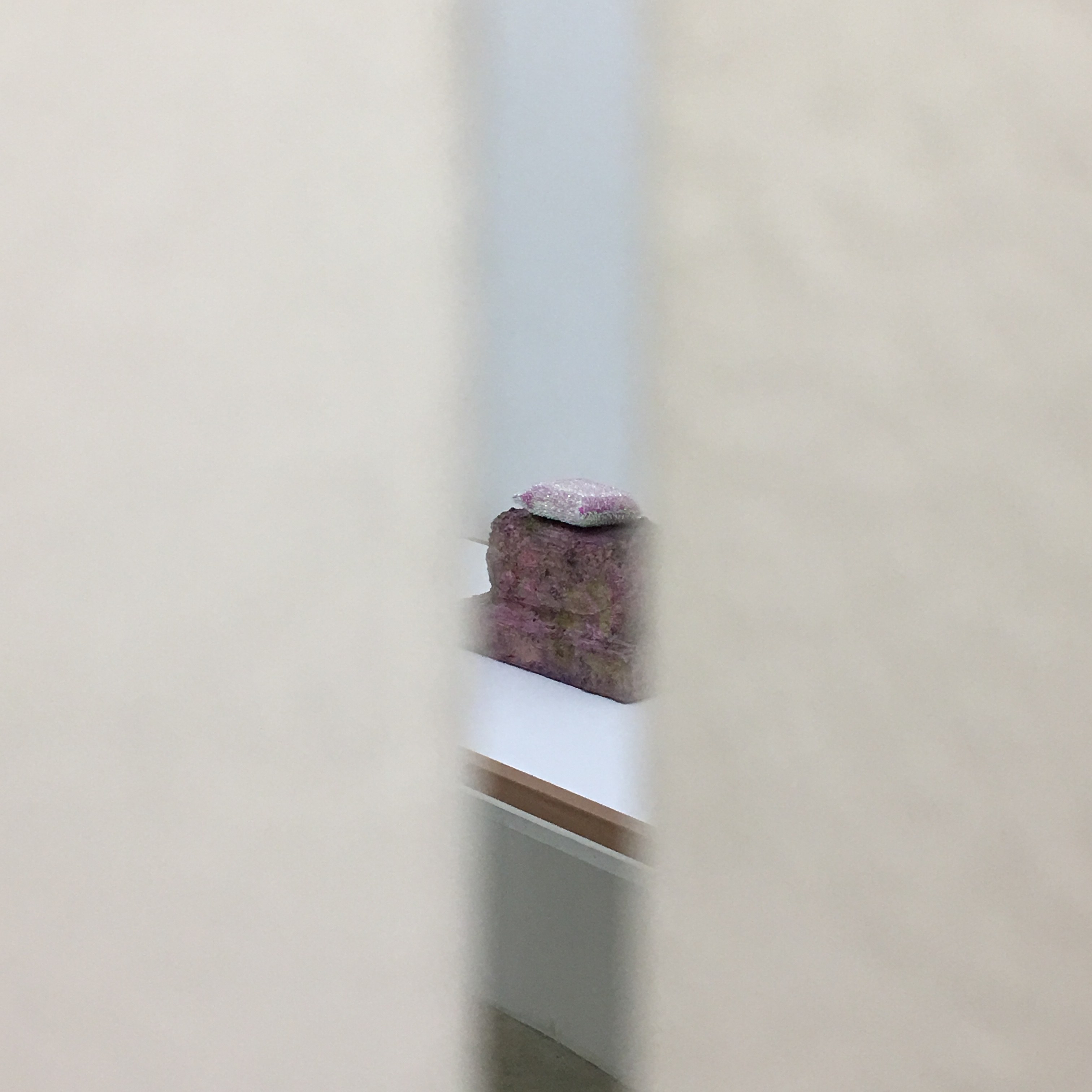 Rachel Harrison, Prasine at Greene Naftali, photo 33