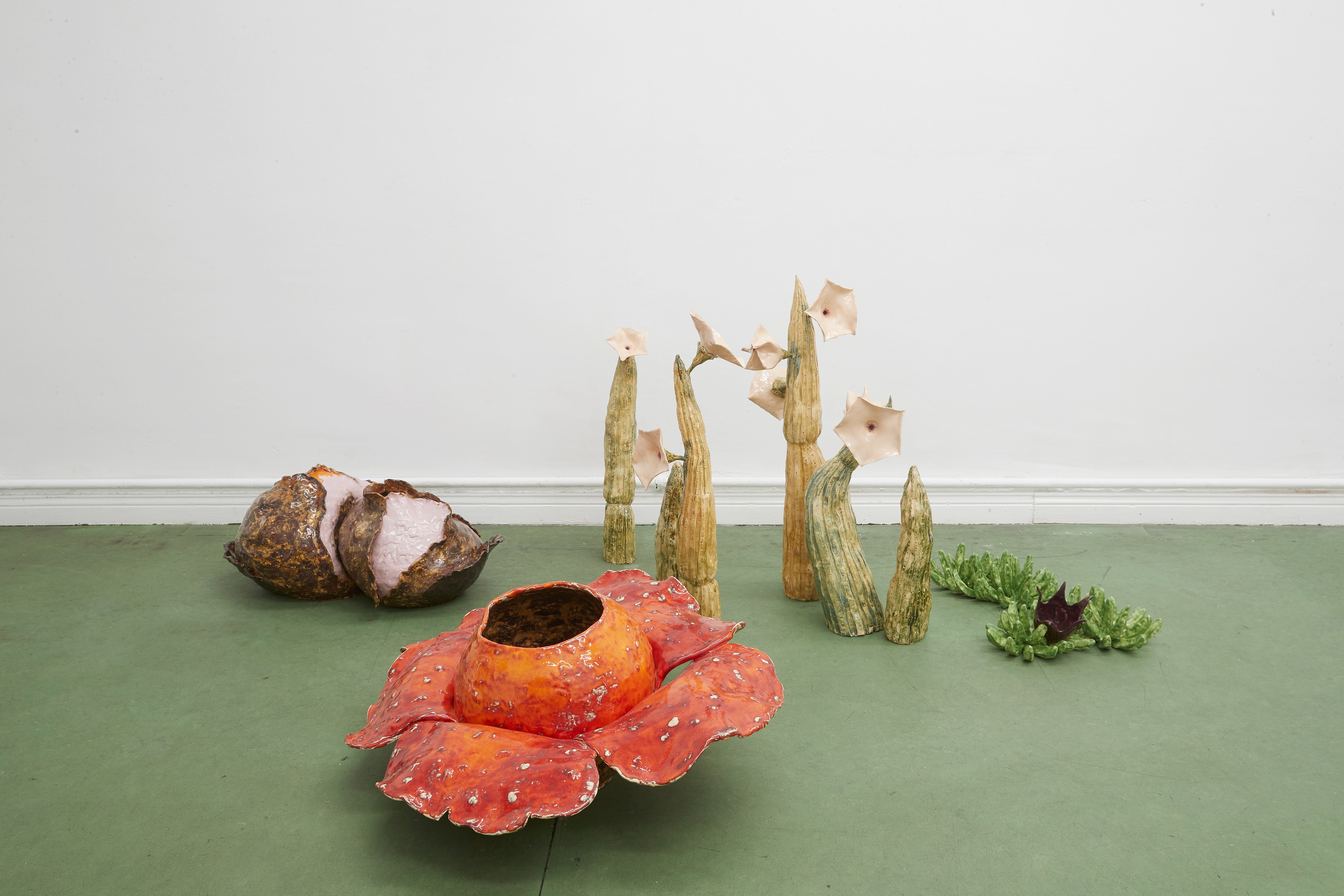 Gerrit Frohne-Brinkmann, Corpse Flowers at Galerie Noah Klink, photo 4