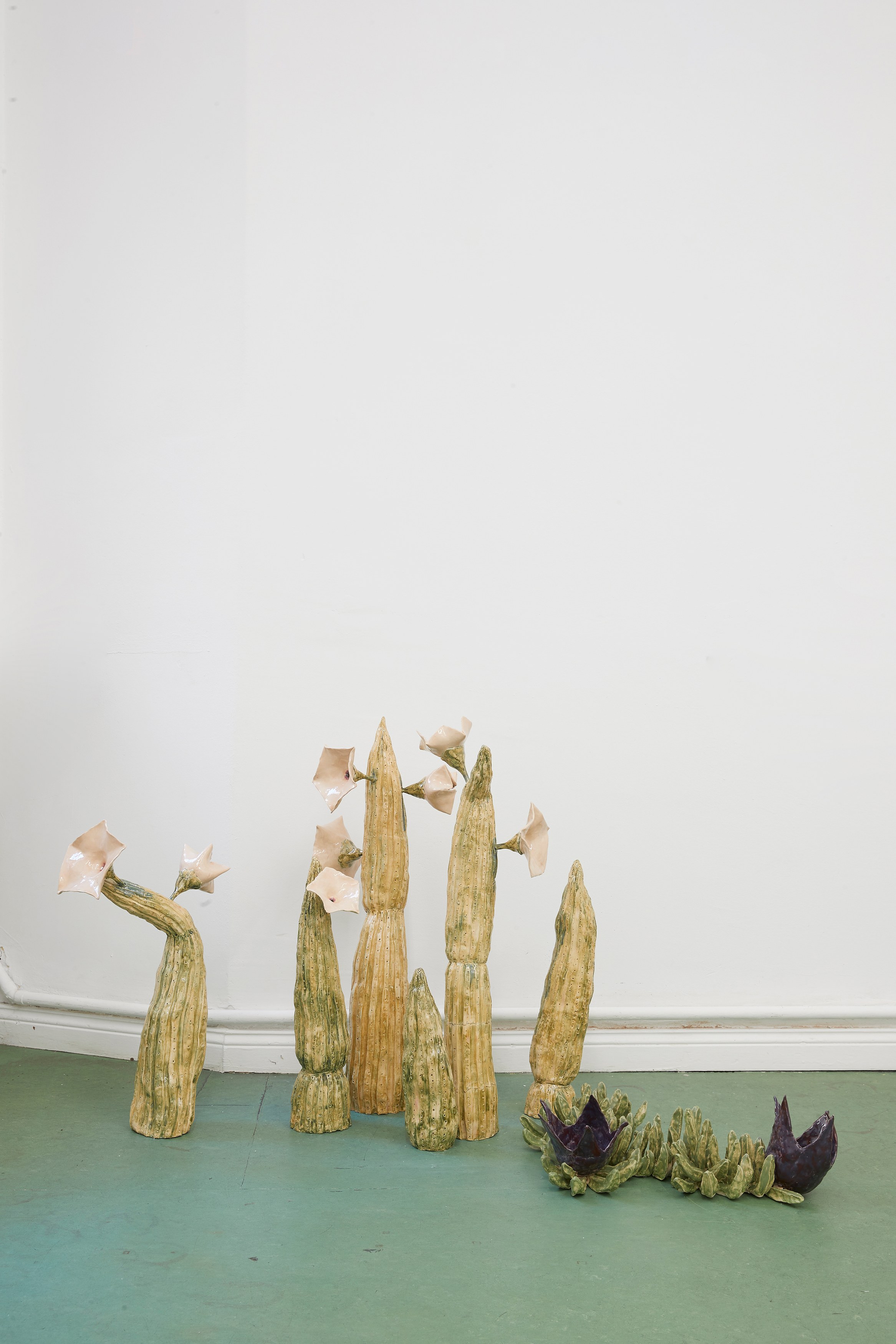 Gerrit Frohne-Brinkmann, Corpse Flowers at Galerie Noah Klink, photo 6