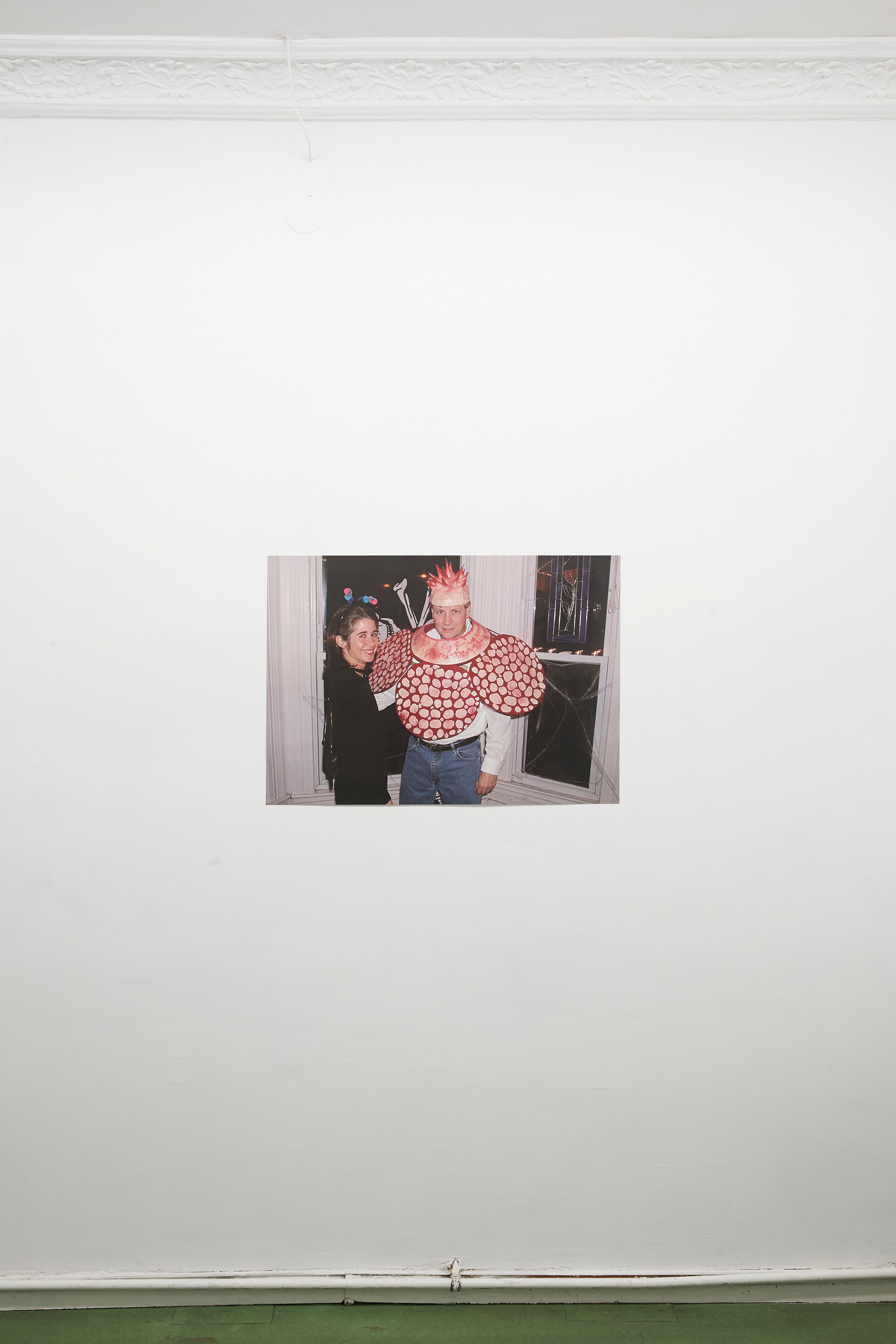 Gerrit Frohne-Brinkmann, Corpse Flowers at Galerie Noah Klink, photo 7