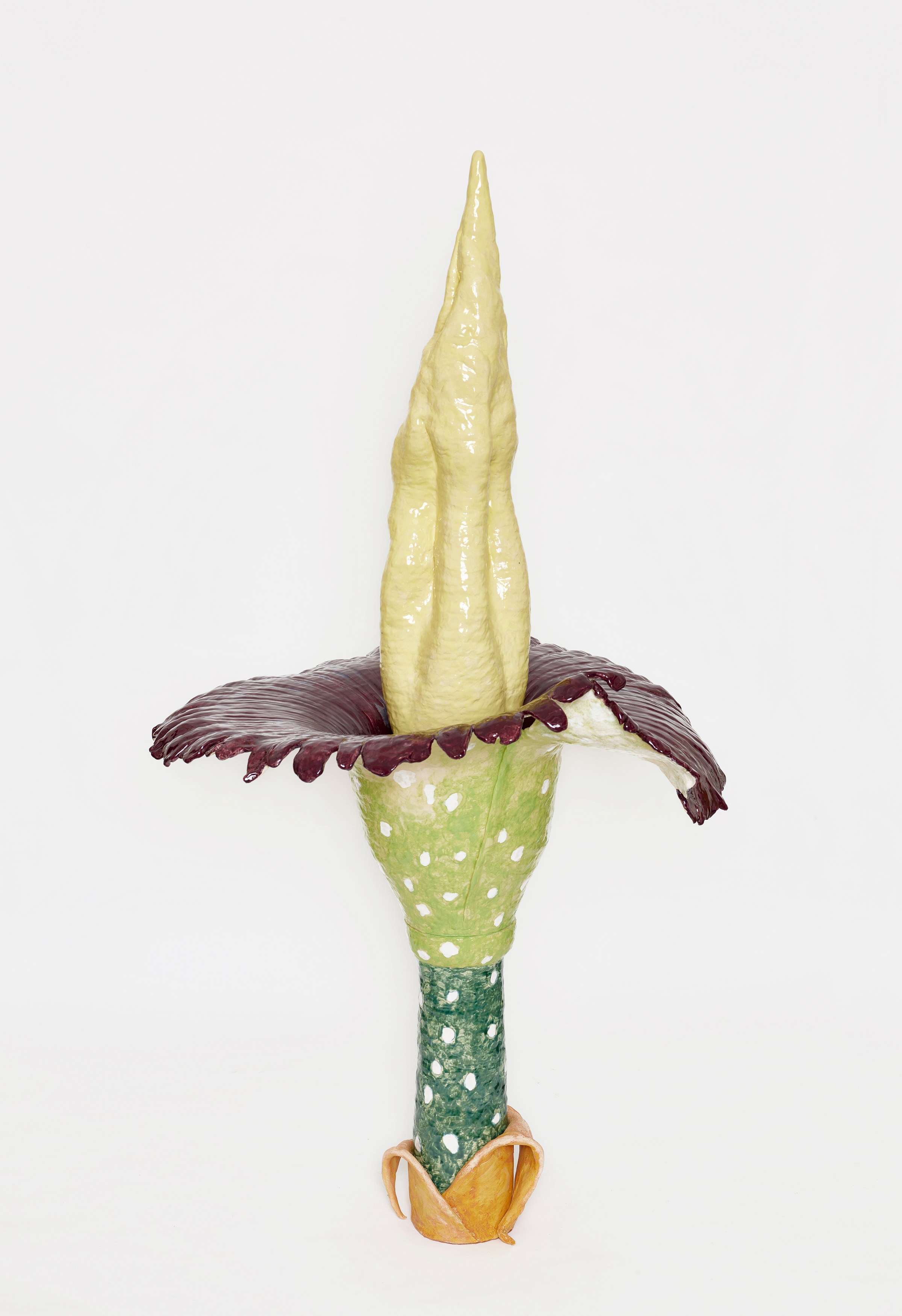 Gerrit Frohne-Brinkmann, Corpse Flowers at Galerie Noah Klink, photo 9