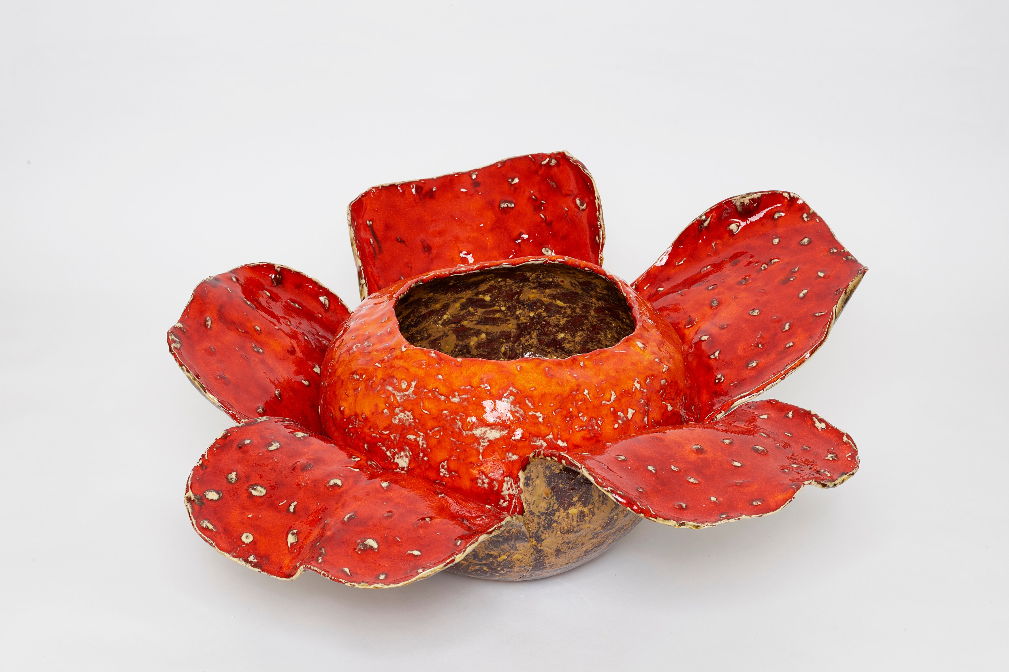 Gerrit Frohne-Brinkmann, Corpse Flowers at Galerie Noah Klink, photo 10