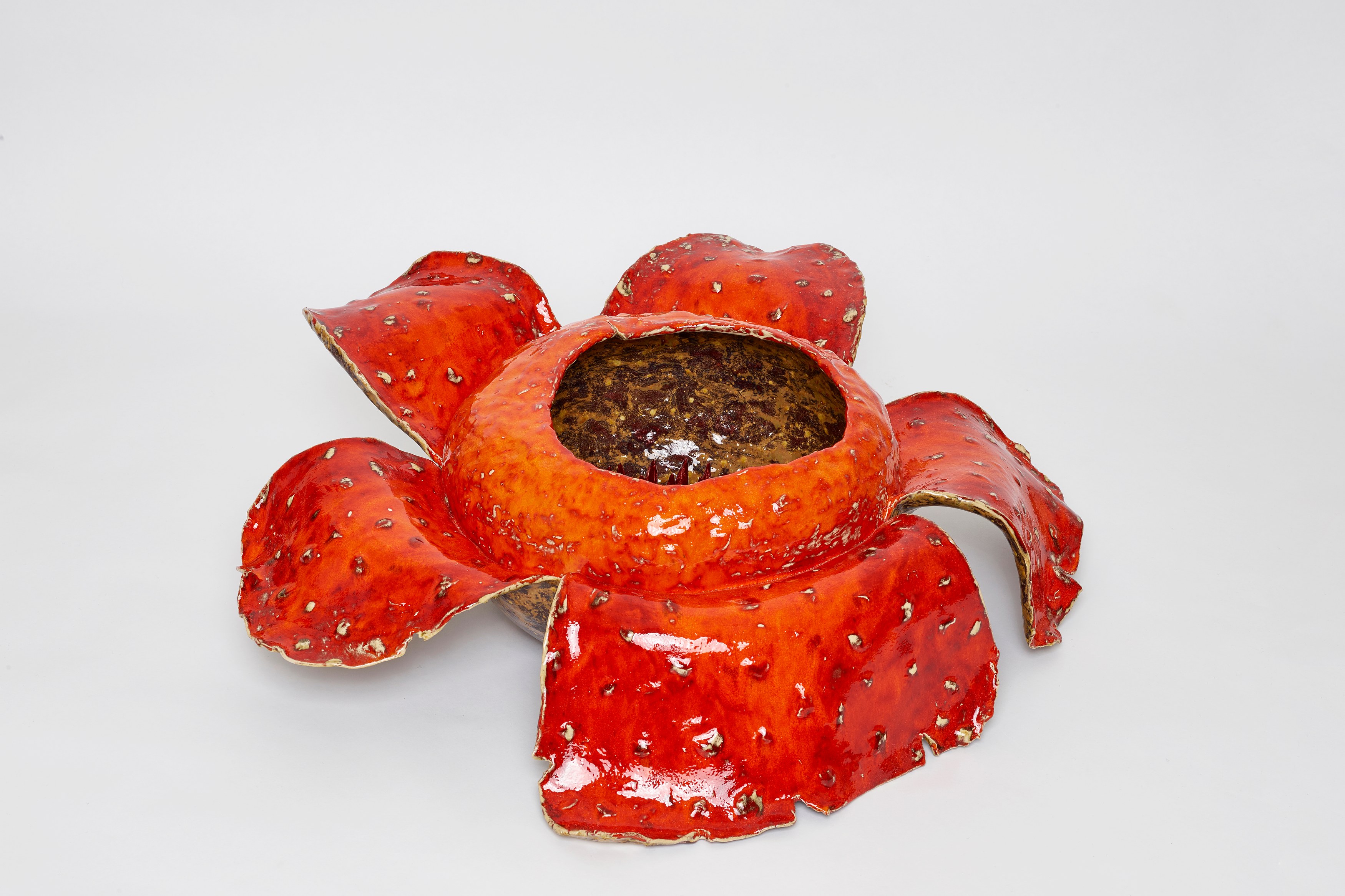 Gerrit Frohne-Brinkmann, Corpse Flowers at Galerie Noah Klink, photo 11