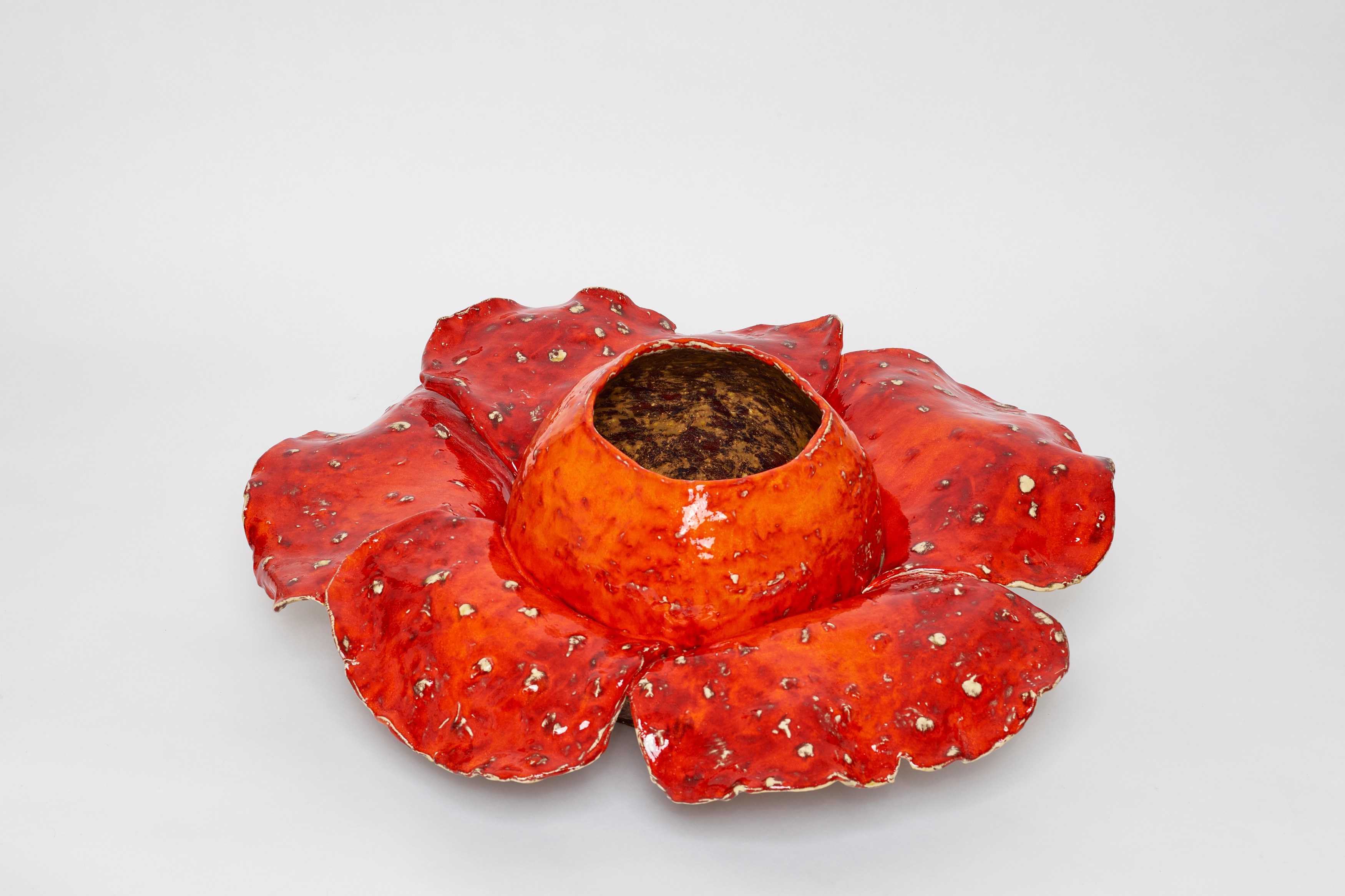 Gerrit Frohne-Brinkmann, Corpse Flowers at Galerie Noah Klink, photo 12