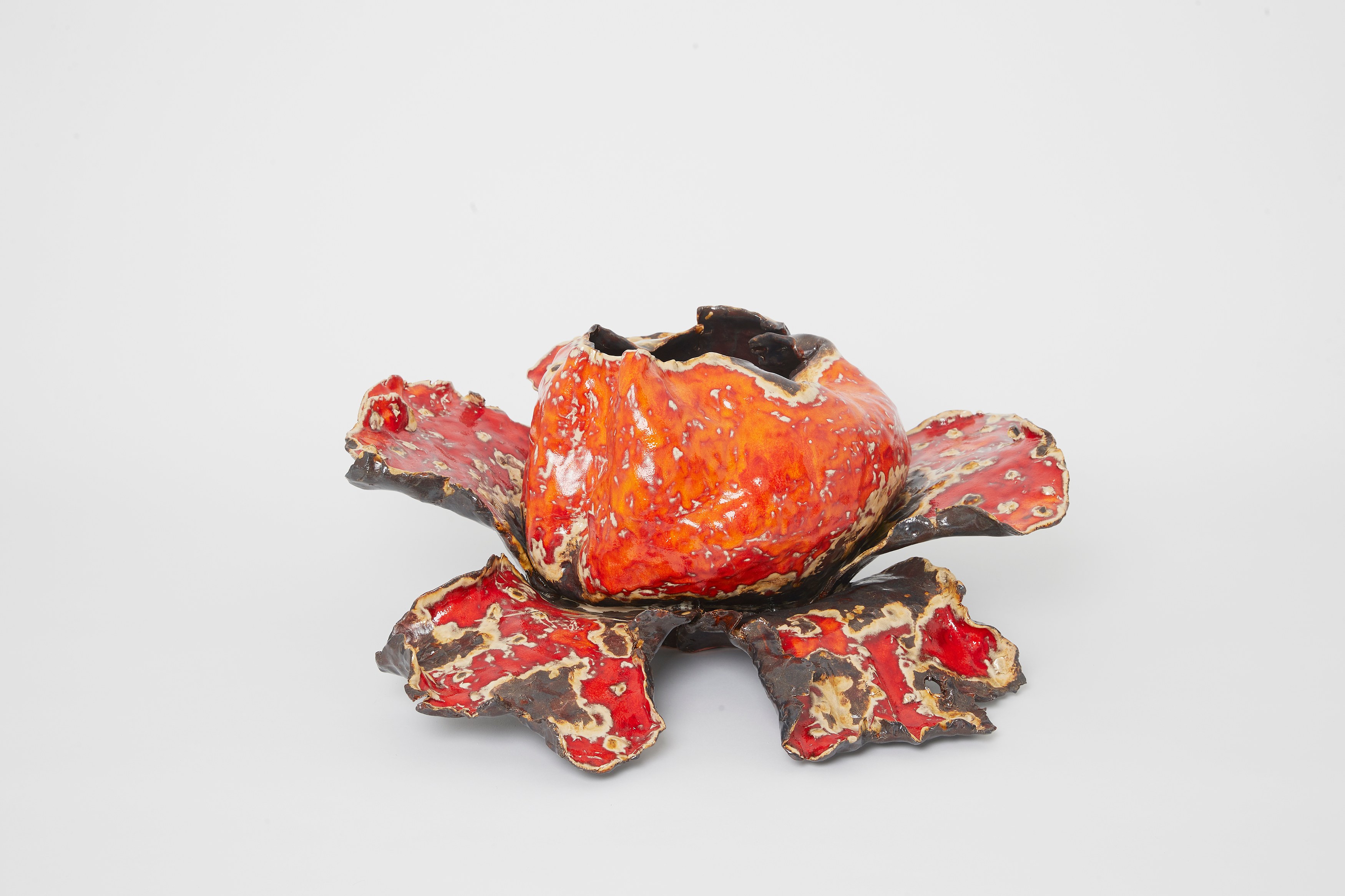 Gerrit Frohne-Brinkmann, Corpse Flowers at Galerie Noah Klink, photo 13