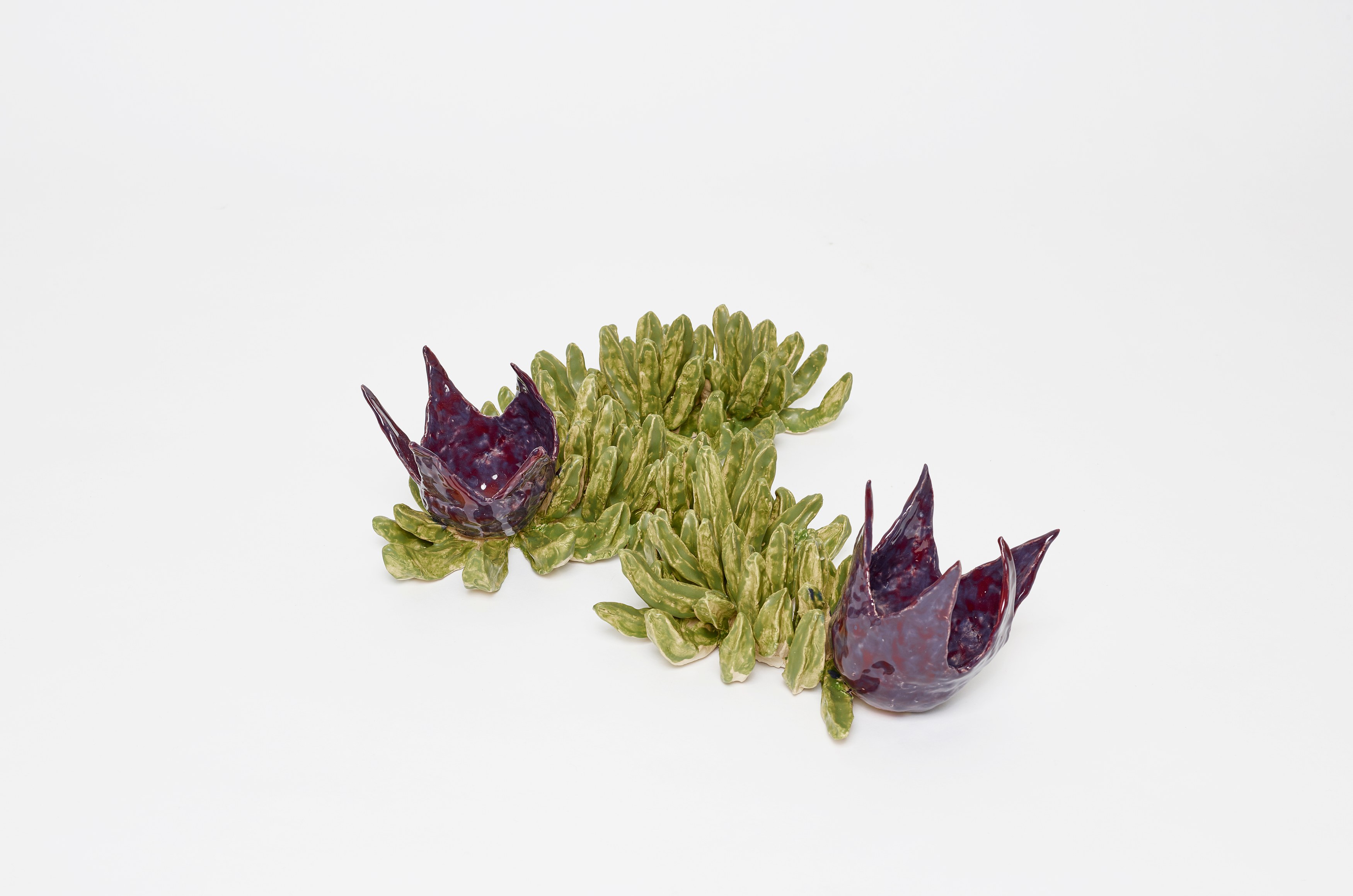 Gerrit Frohne-Brinkmann, Corpse Flowers at Galerie Noah Klink, photo 16
