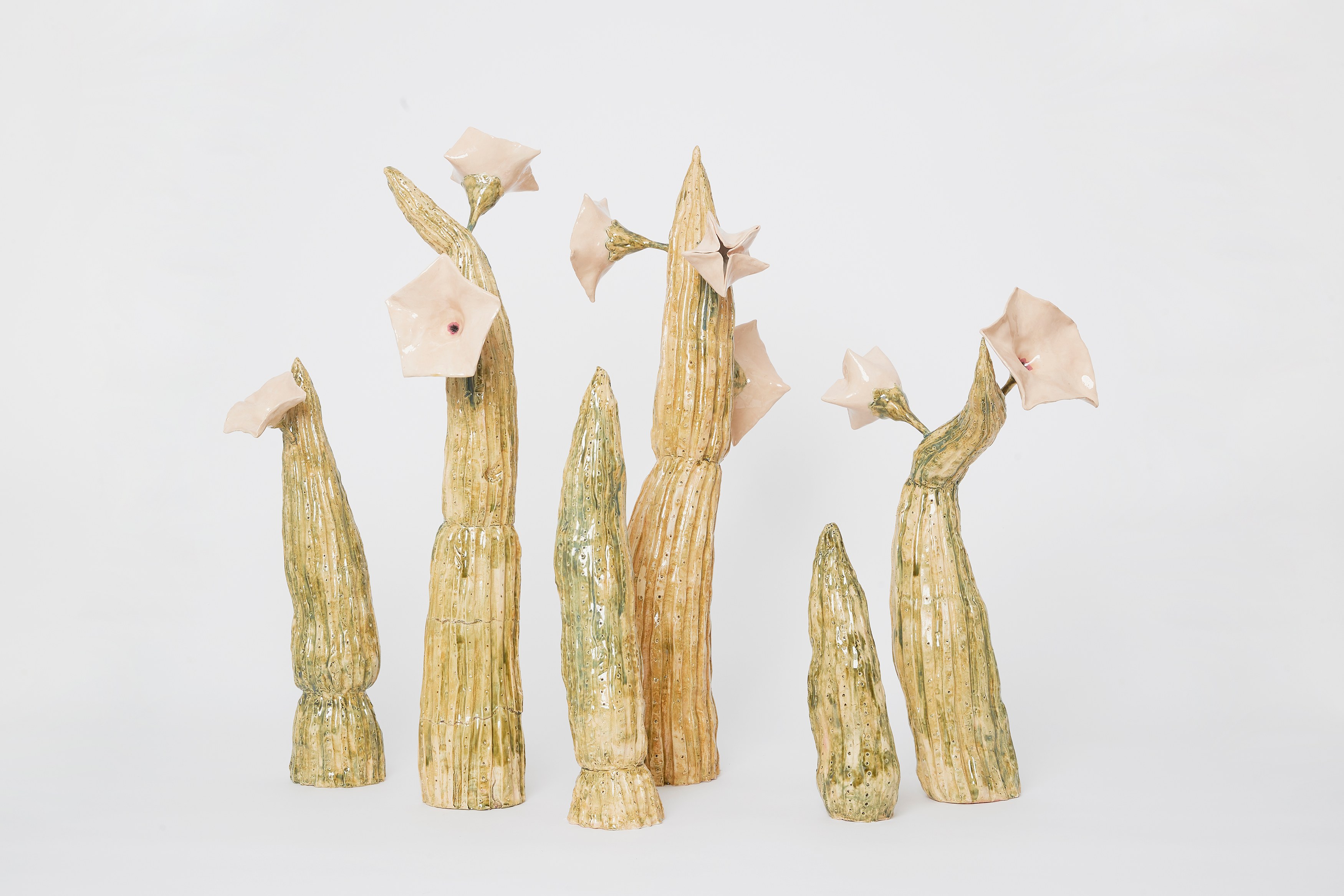 Gerrit Frohne-Brinkmann, Corpse Flowers at Galerie Noah Klink, photo 17