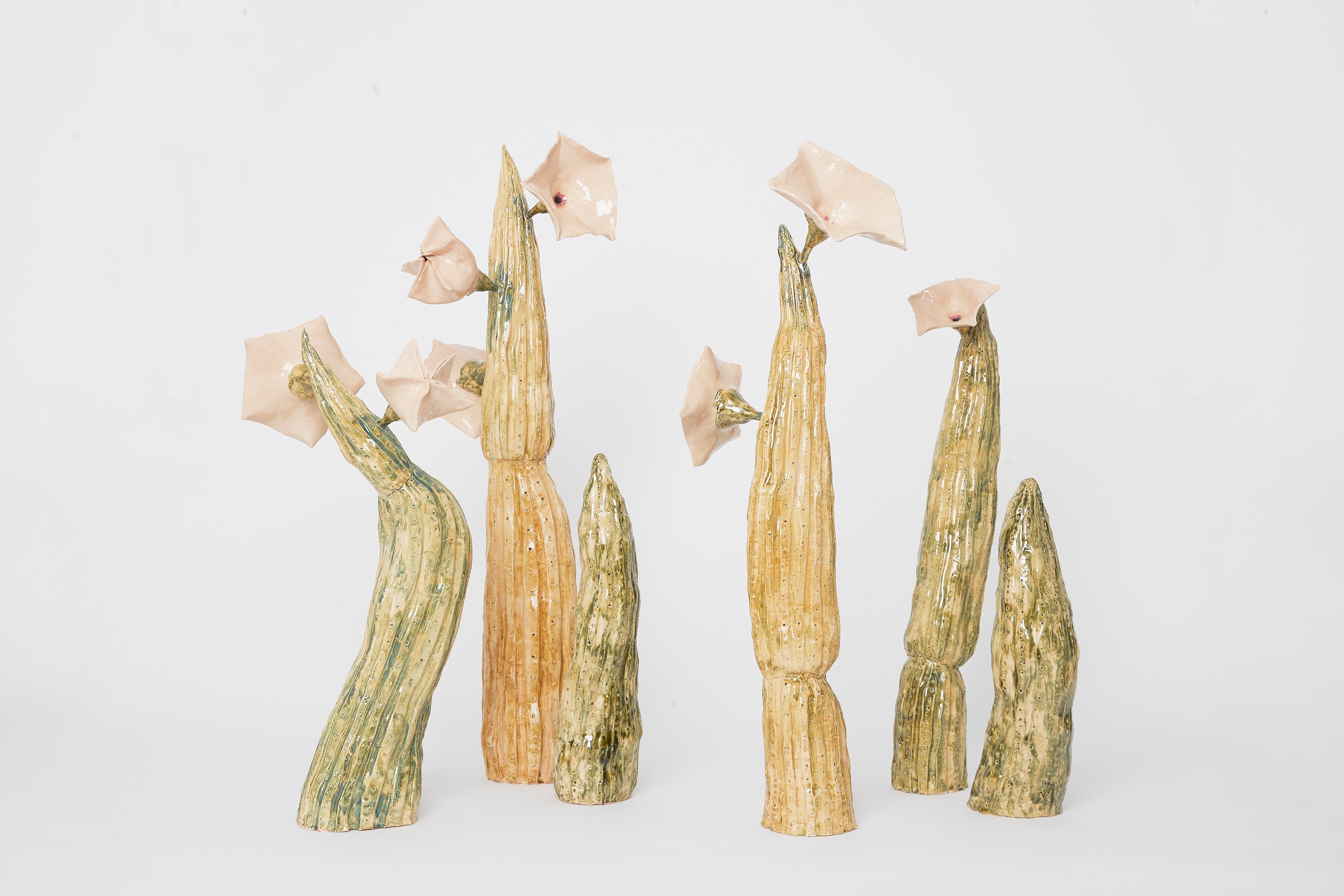 Gerrit Frohne-Brinkmann, Corpse Flowers at Galerie Noah Klink, photo 18