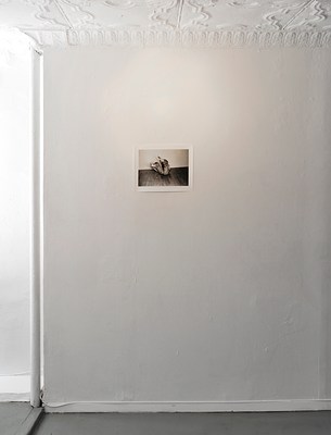 Image 4 of 26