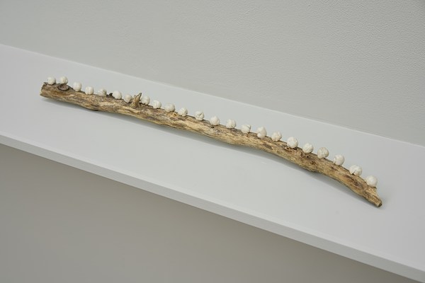 Image 1 of 24