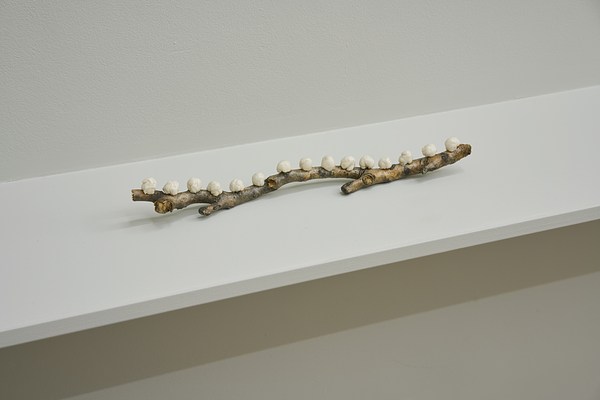 Image 7 of 24