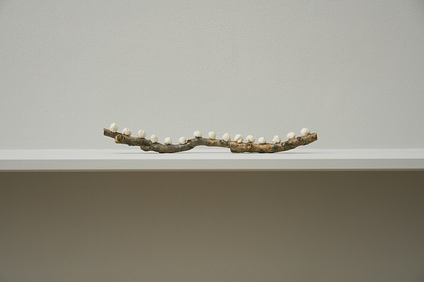 Image 8 of 24