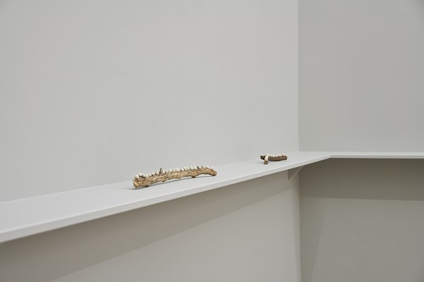 Image 10 of 24