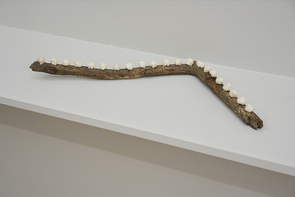 Image 11 of 24