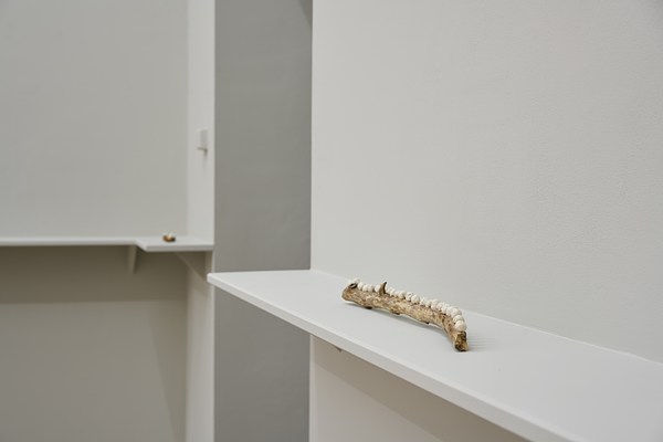 Image 16 of 24