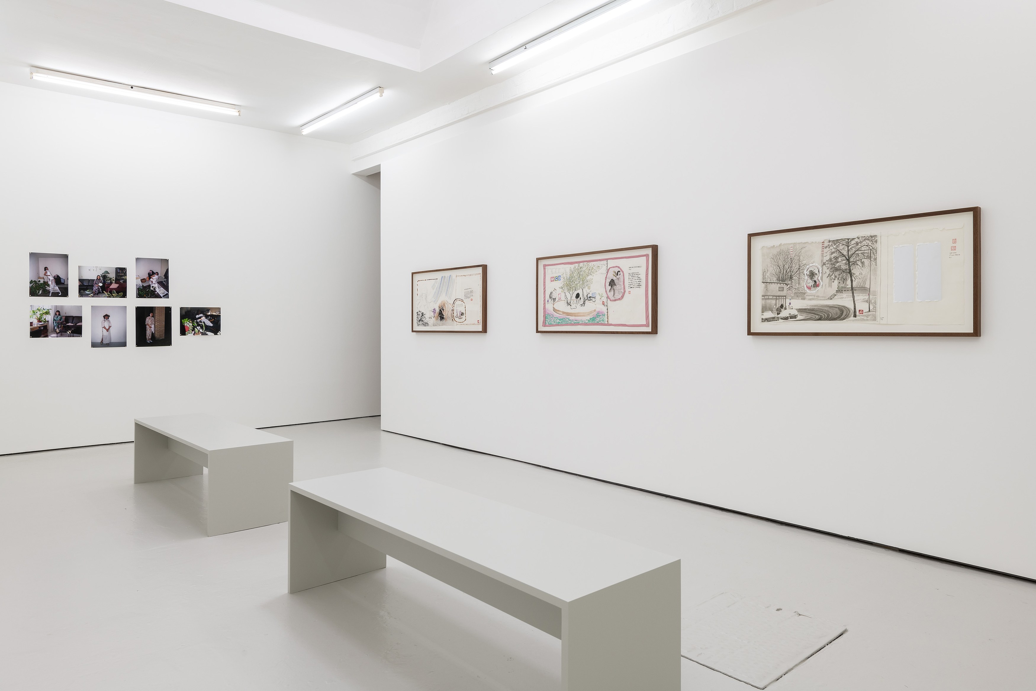 Evelyn Taocheng Wang, Gallery Share at Carlos/Ishikawa, photo 2