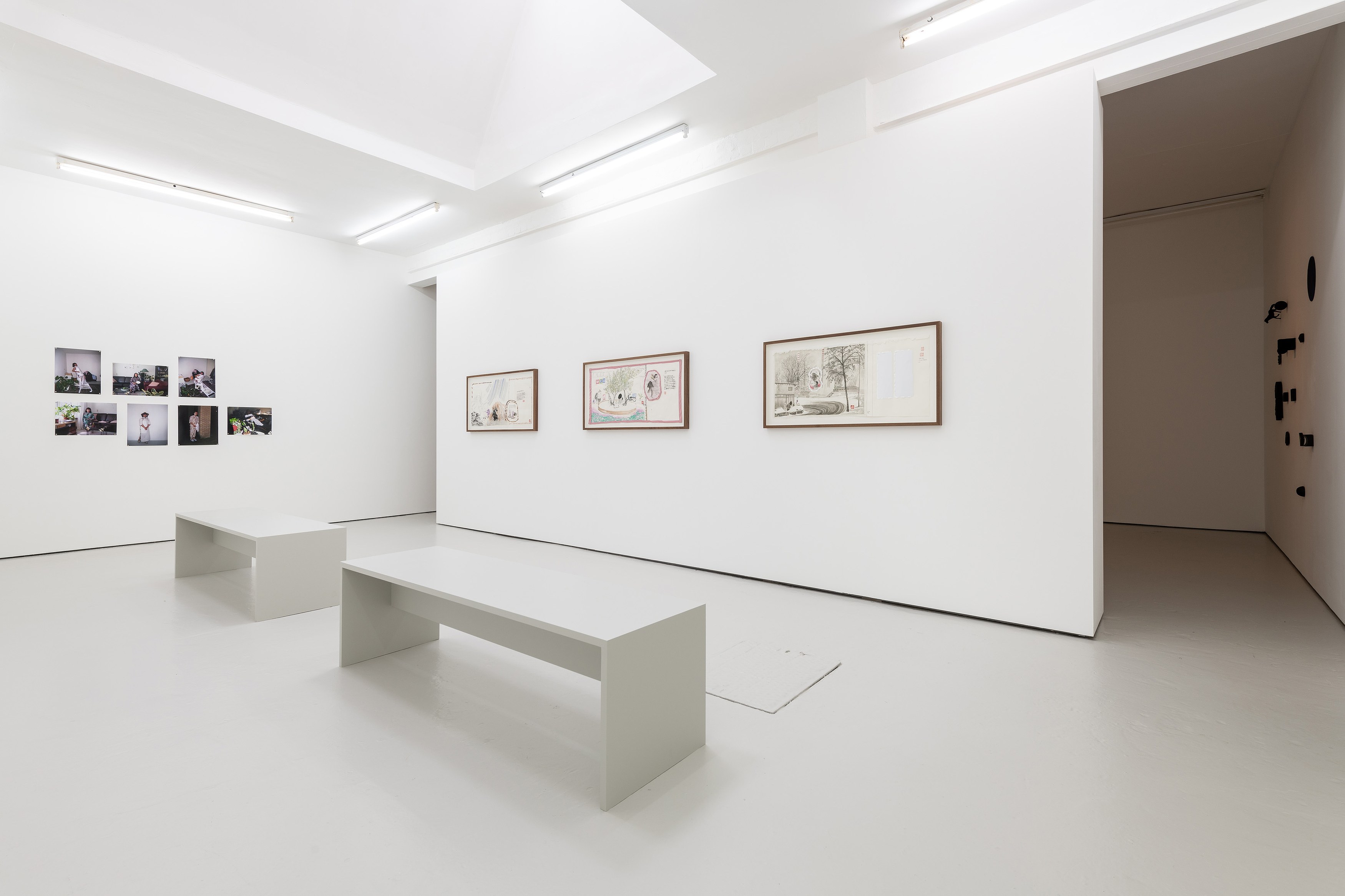 Evelyn Taocheng Wang, Gallery Share at Carlos/Ishikawa, photo 6