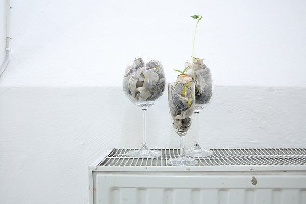 Image 10 of 38