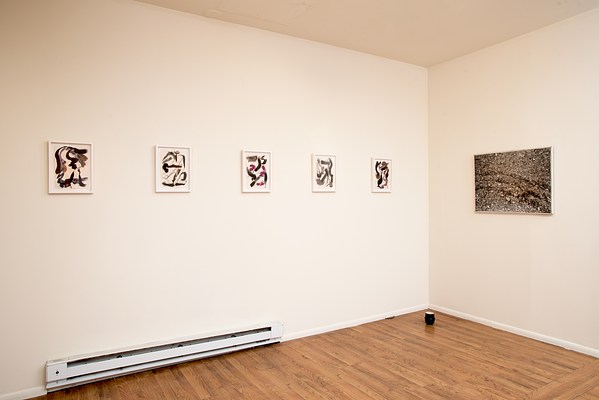Image 8 of 42