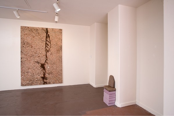 Image 10 of 42