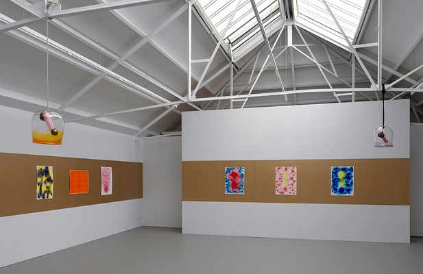 Image 1 of 37