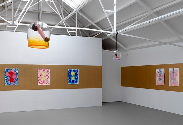 Image 4 of 37