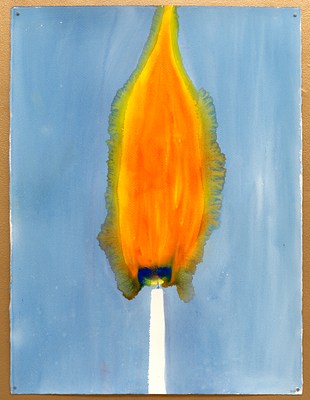 Image 19 of 37