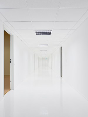 Image 2 of 26
