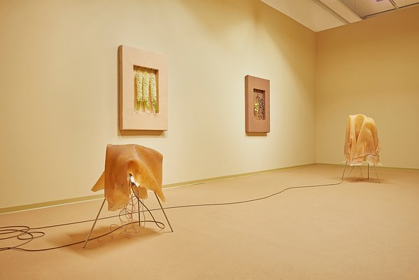 Image 4 of 26