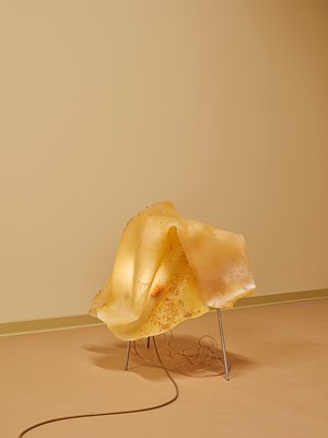 Image 7 of 26