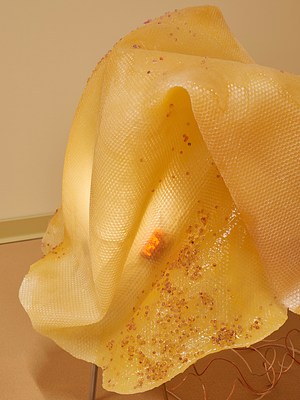 Image 8 of 26