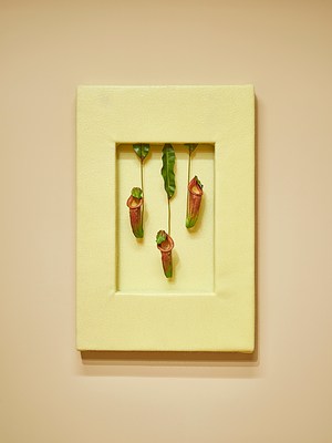 Image 10 of 26