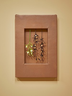 Image 11 of 26