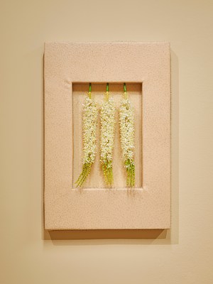 Image 12 of 26