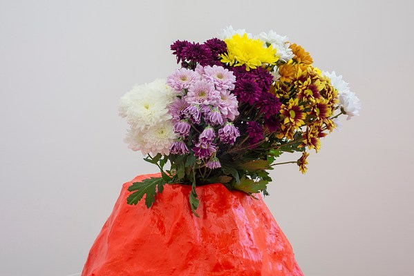 Image 7 of 22