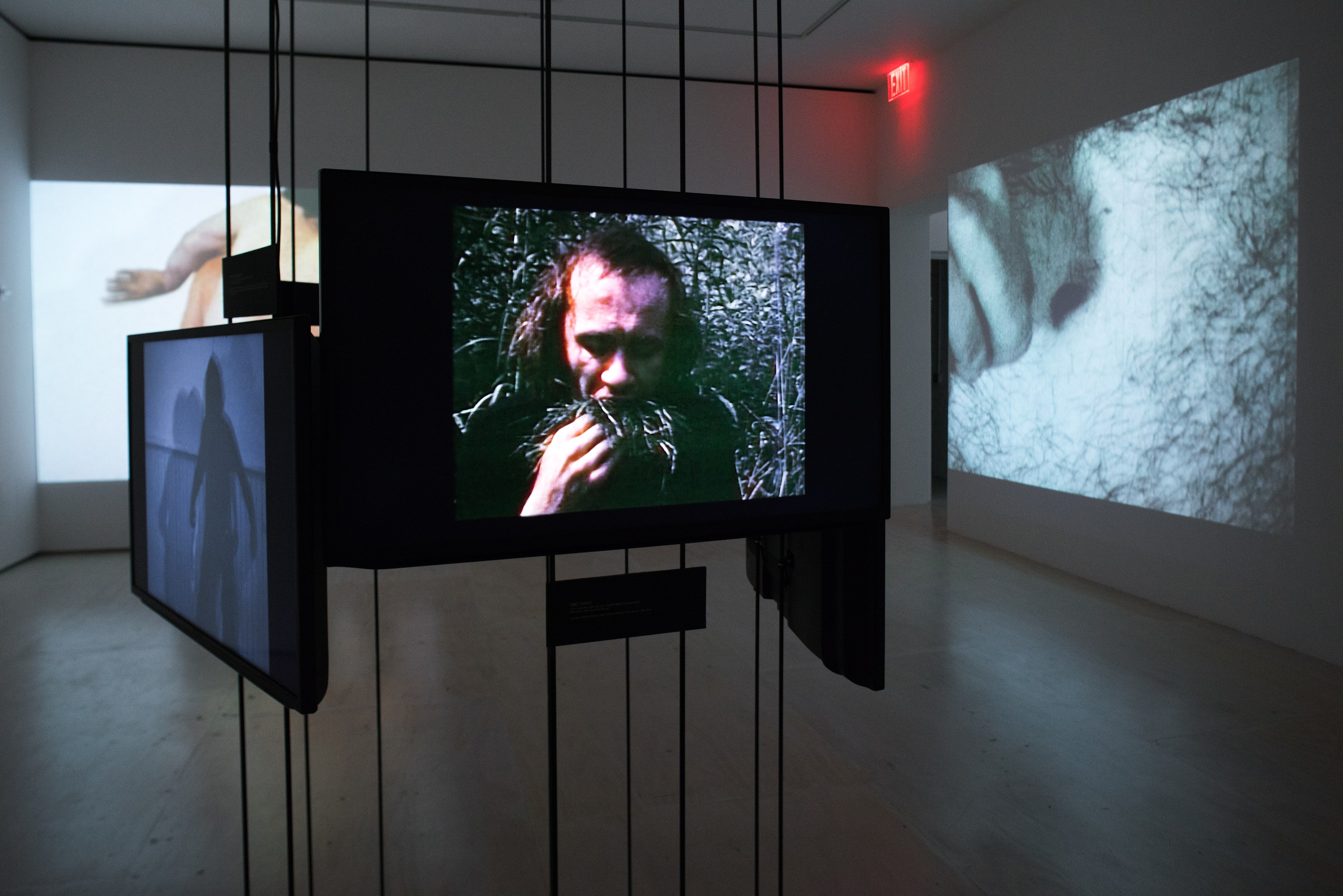 Vito Acconci, Where We Are Now (Who Are We Anyway?), 1976 at MoMA PS1, photo 29
