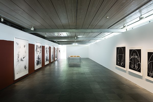 Image 1 of 14
