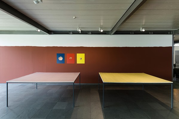 Image 4 of 14
