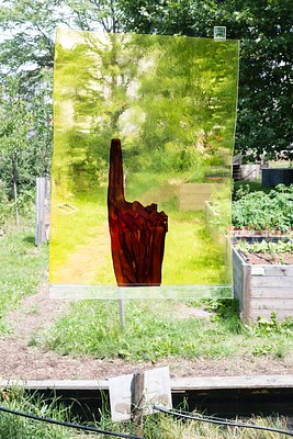 Image 8 of 14