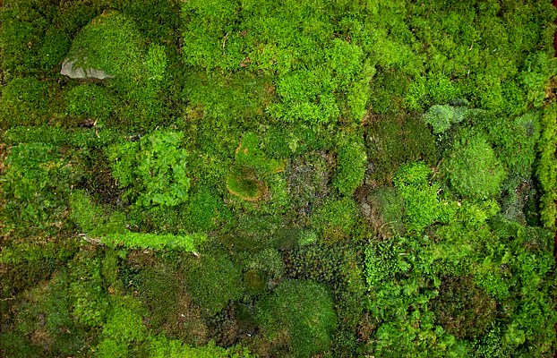Image 12 of 14